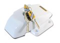 Heosafe-Van-Security-Lock-met-2-sloten-wit